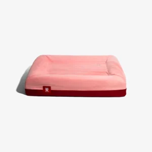 Home green soil lotus