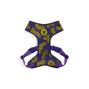 Home boncellensis secullant